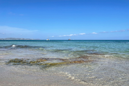 Wannerpartner Architekten IMG_1032