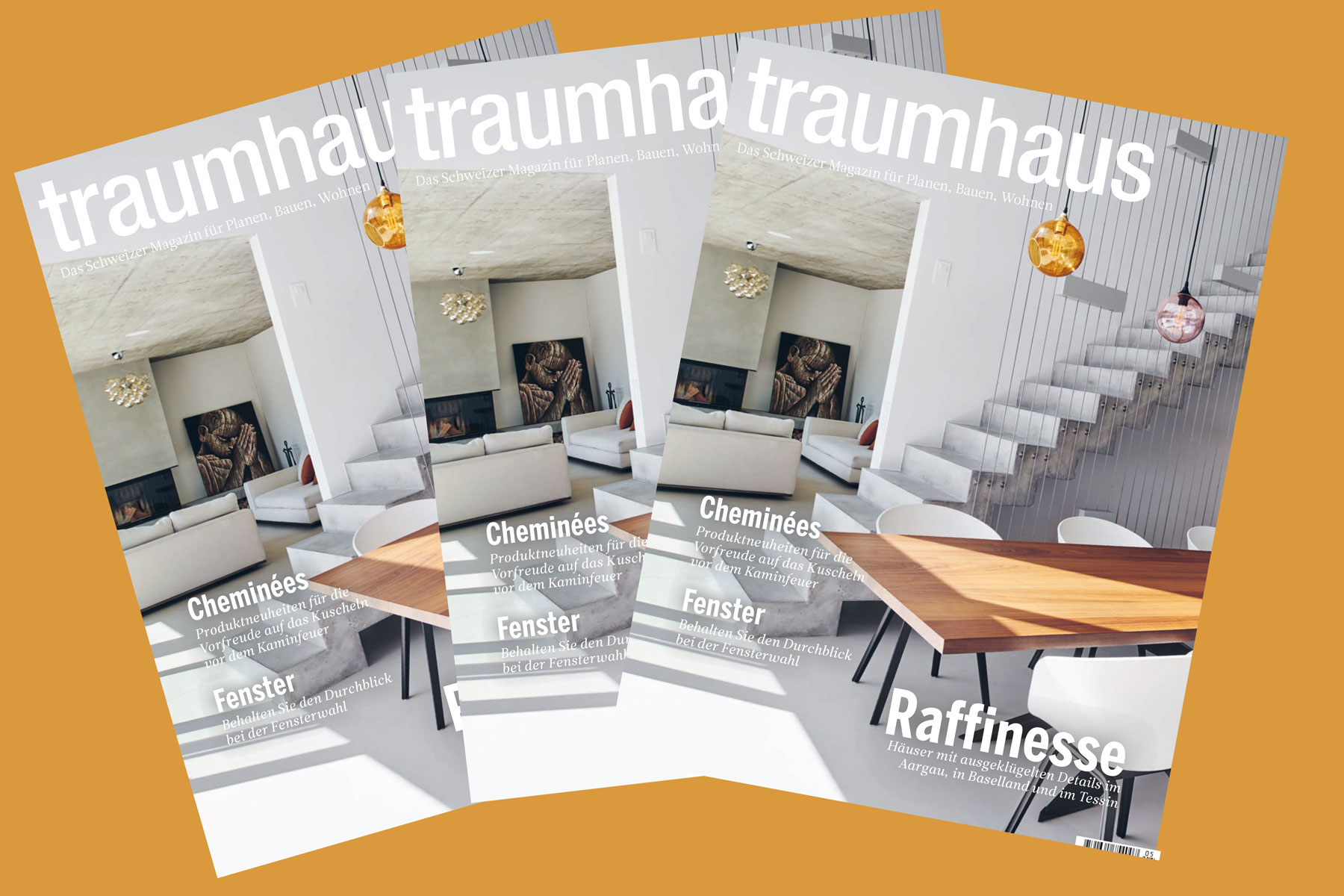 Wannerpartner Architekten Traumhaus - auf der Titelseite